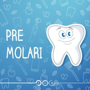 Dente premolare