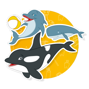 immagine cetacei