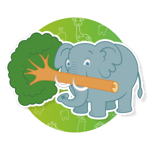 immagine elefante