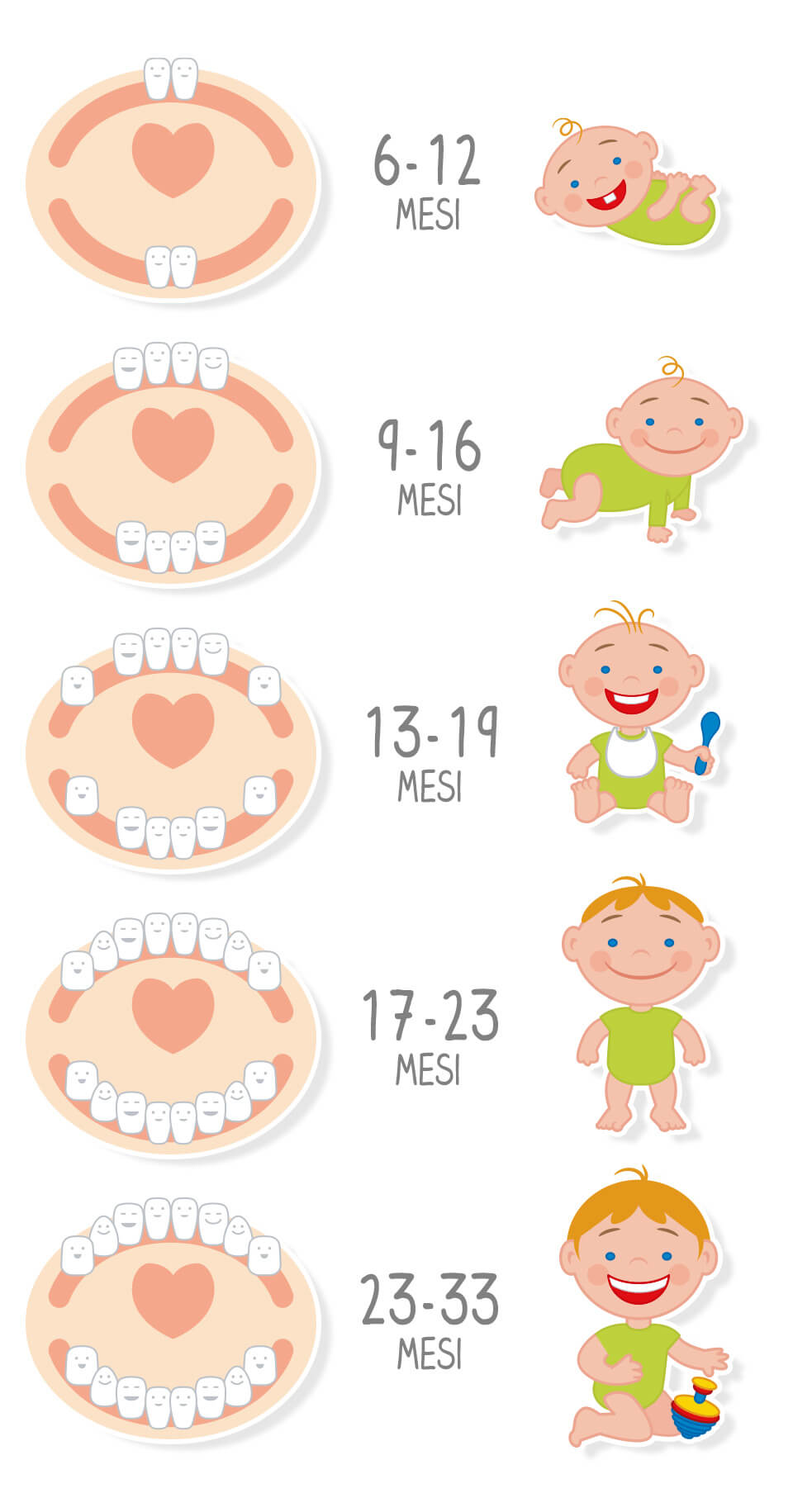 Crescita dentini nei primi 33 mesi
